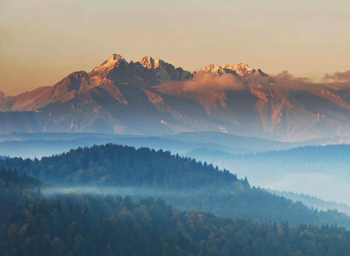 Odtrucie alkoholowe Warszawa: Skuteczne metody i wsparcie w walce z uzależnieniem