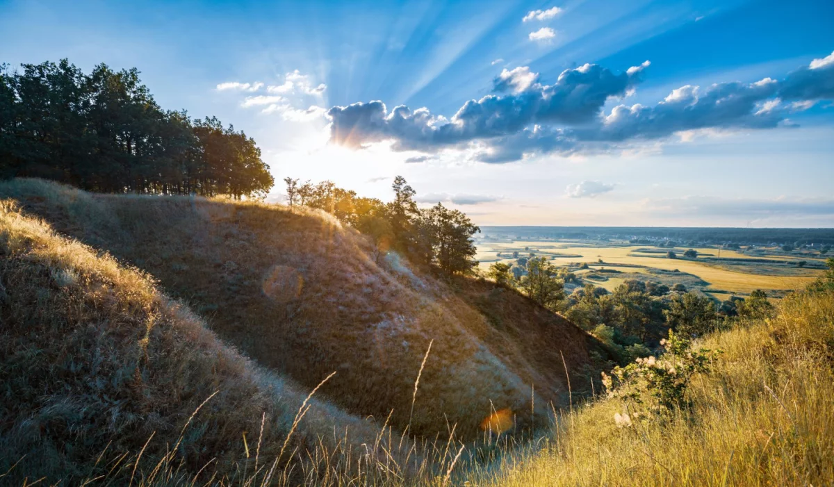 Odtrucie alkoholowe Warszawa: Skuteczne metody powrotu do zdrowia