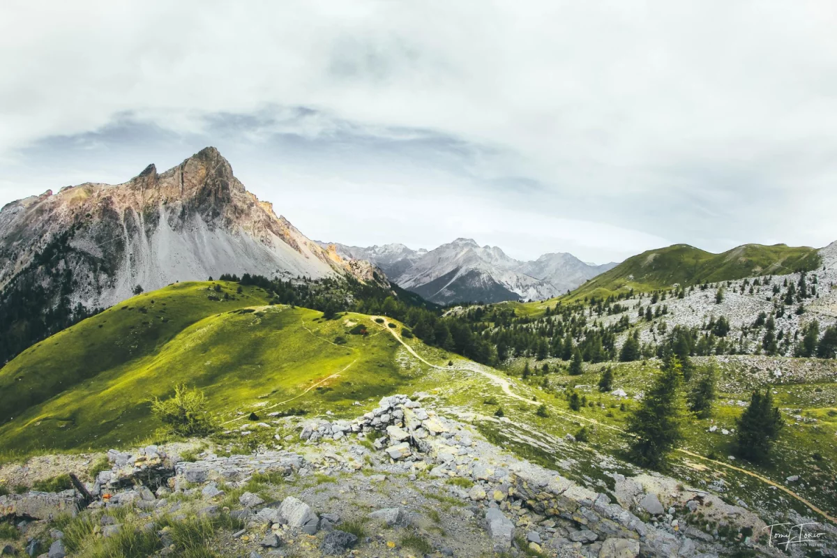 Łóżka chowane w szafie – innowacyjne rozwiązania dla małych przestrzeni