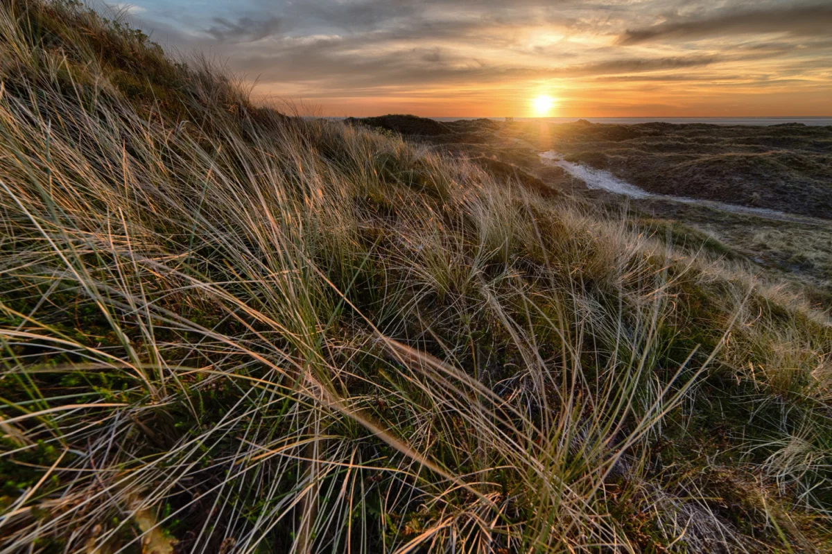 Klimatyzator z funkcją grzania Pruszków – Komfort przez cały rok w Twoim domu