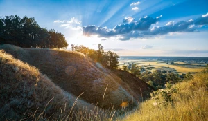 Obsługa firm w zakresie ochrony środowiska: Klucz do zrównoważonego rozwoju i odpowiedzialnego biznesu